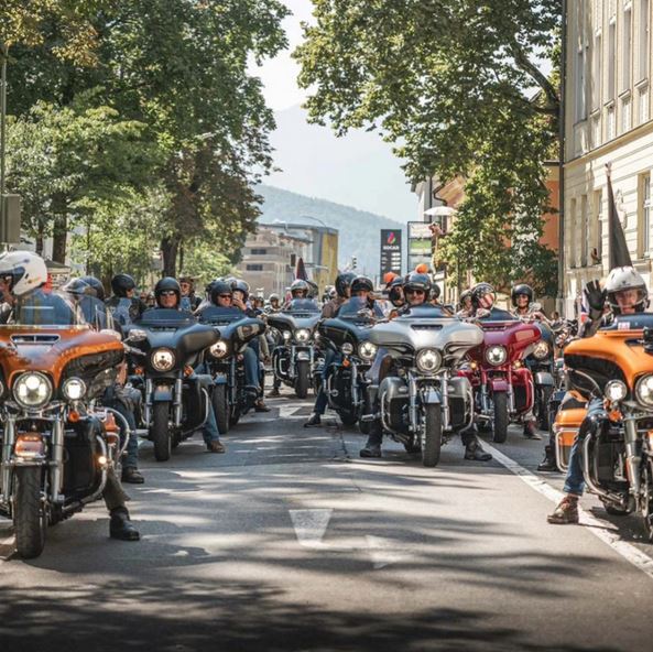 festival v twin medulin