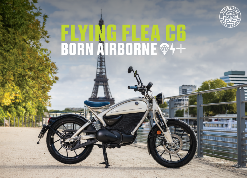 flying flea c6